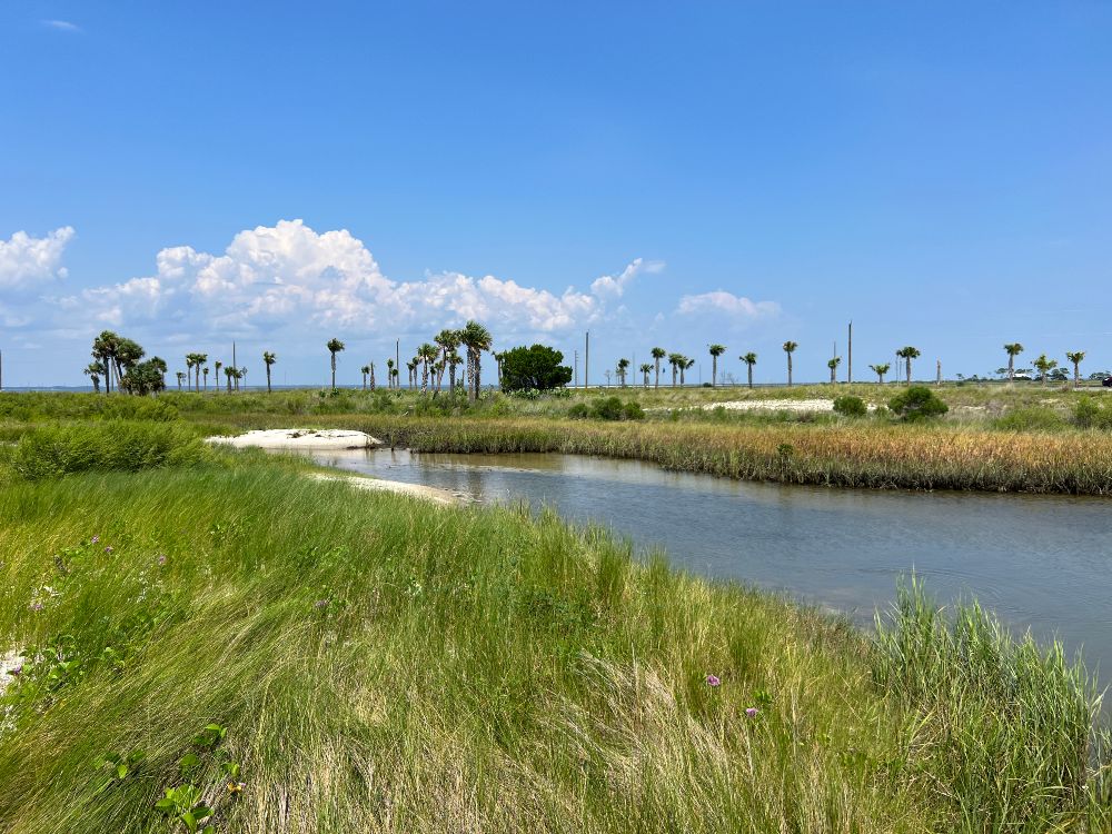 Environmental & Wetland Surveys
